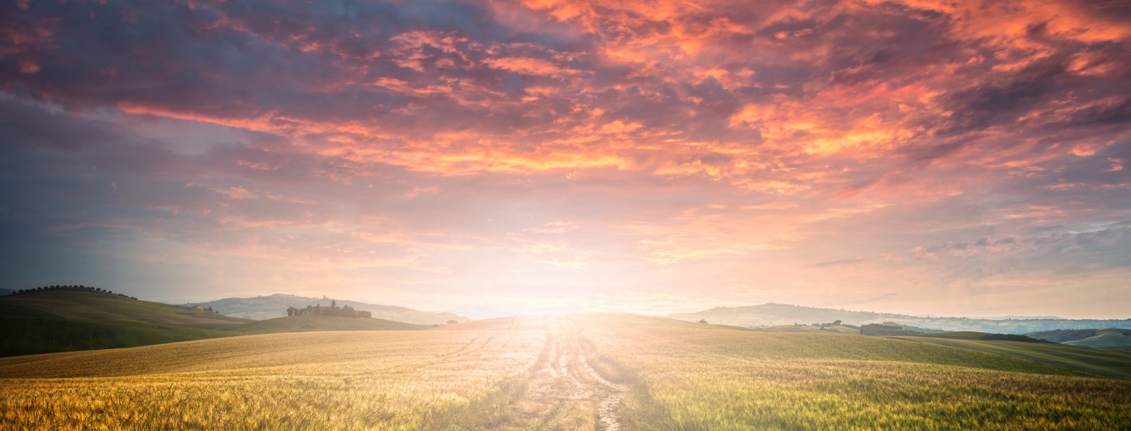 Sunset on a dirt road