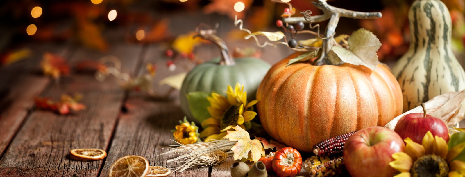 Thanksgiving Pumpkins